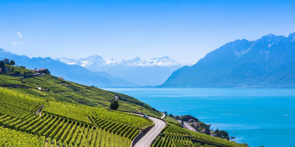 Vinhedos de Lavaux